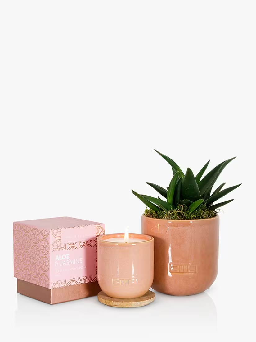 The Little Botanical Pink Cashmere Candle Gift Set