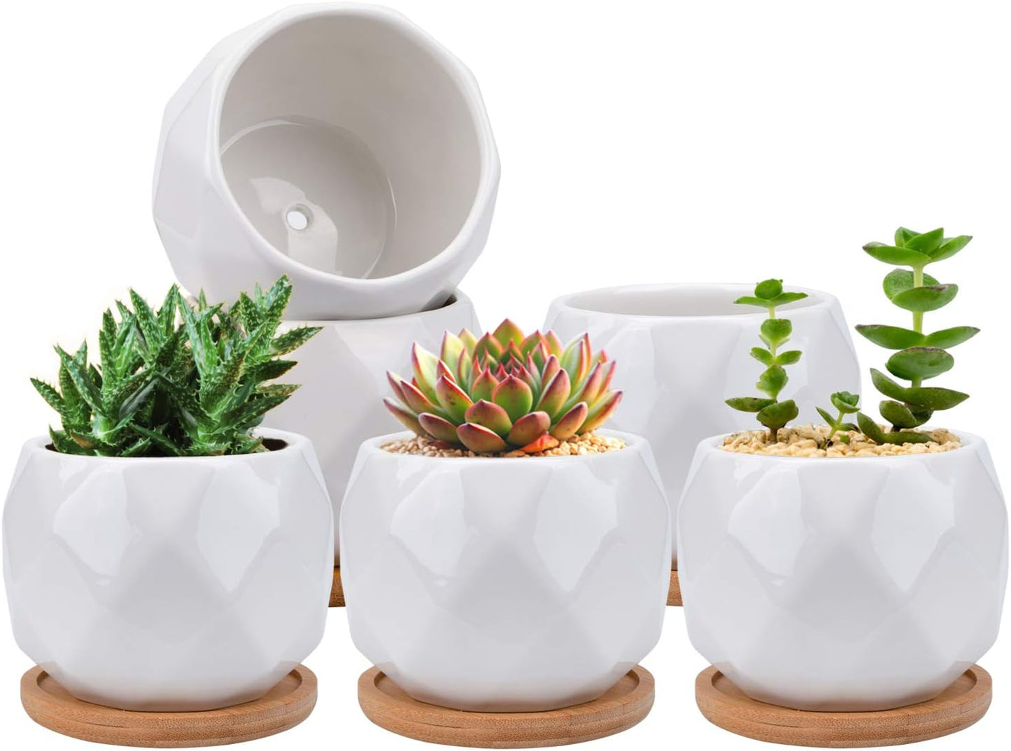 6 Pack Ceramic Succulent Planter Pot with Bamboo Tray, 10 Cm Small White Diamond Shaped Cactus Herb Flowers Planter with Drainage Hole