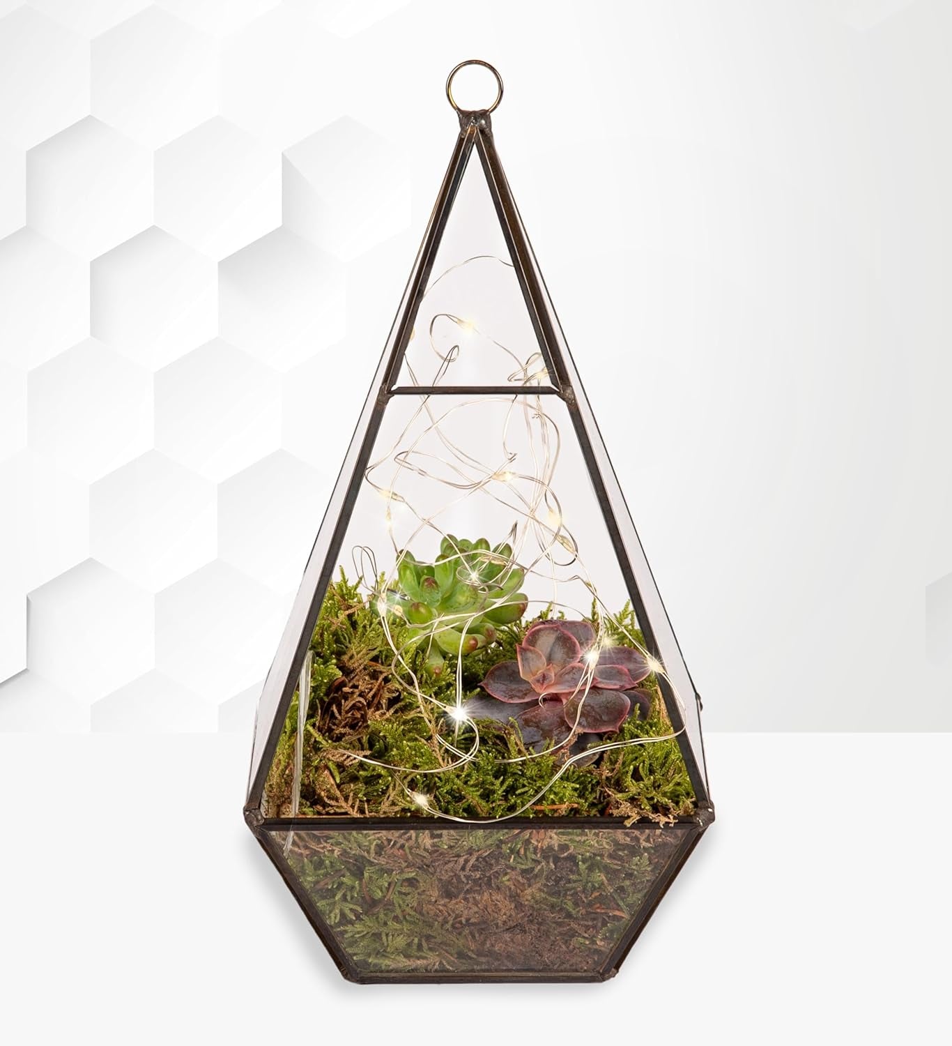 Organic Terrarium with Succulents - Fresh Plant -Plant Gifts – Indoor Terrarium – Birthday Gift – Thank You Gift Gifts for Dad – Plant Gift for Dad – Father’S Day Plant