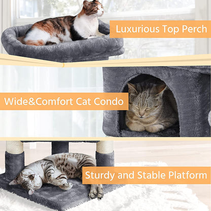 59Cm Basic Cat Tree Tower, Cat Scratching Post W/Oversized Perches, Condo and Hanging Ball, Cat Furniture Cat House for Cats Kittens Pets, Dark Grey