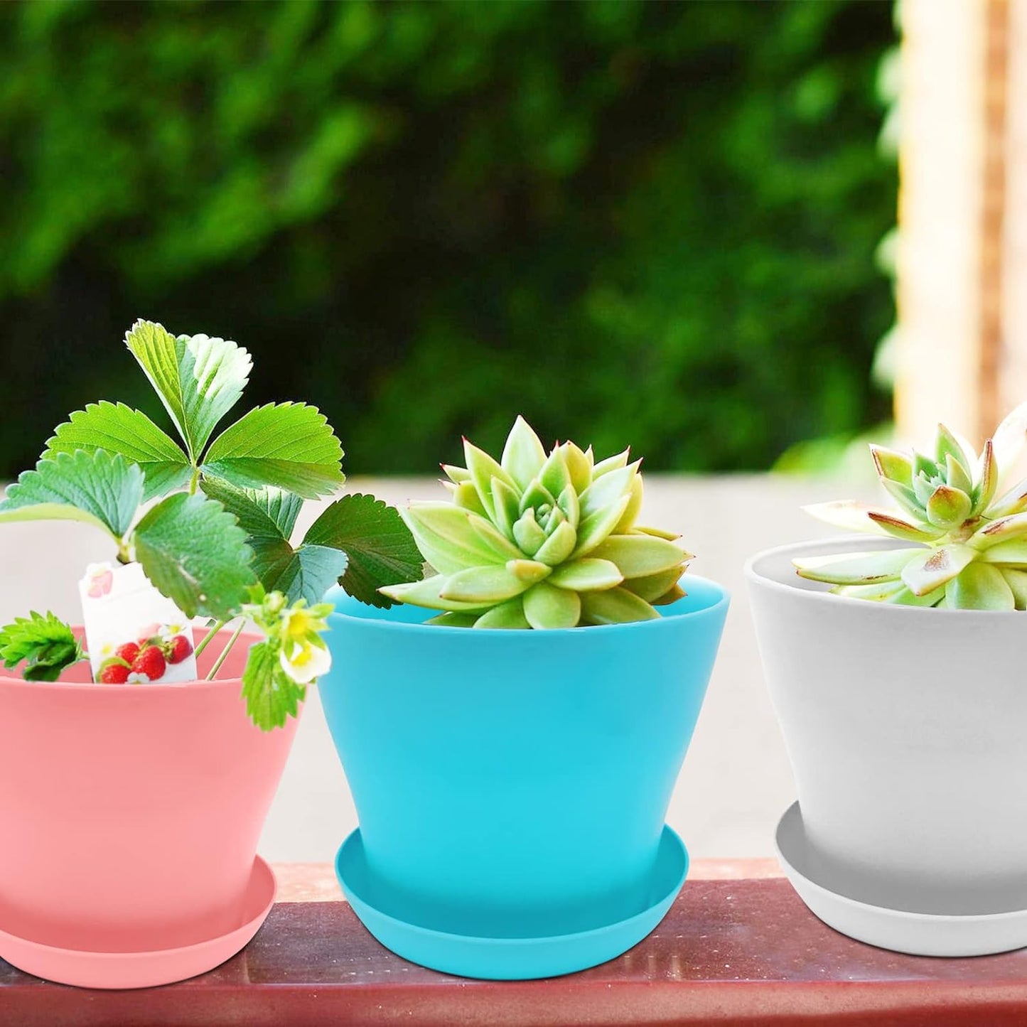 8Pcs 14Cm Plant Flower Pots Colorful Plastic Plant Pots Indoor Flower Pots Plant Container Planters with Trays for Office House Succulent Fruit Vegetable Seedlings Transplanting, 8 Colors