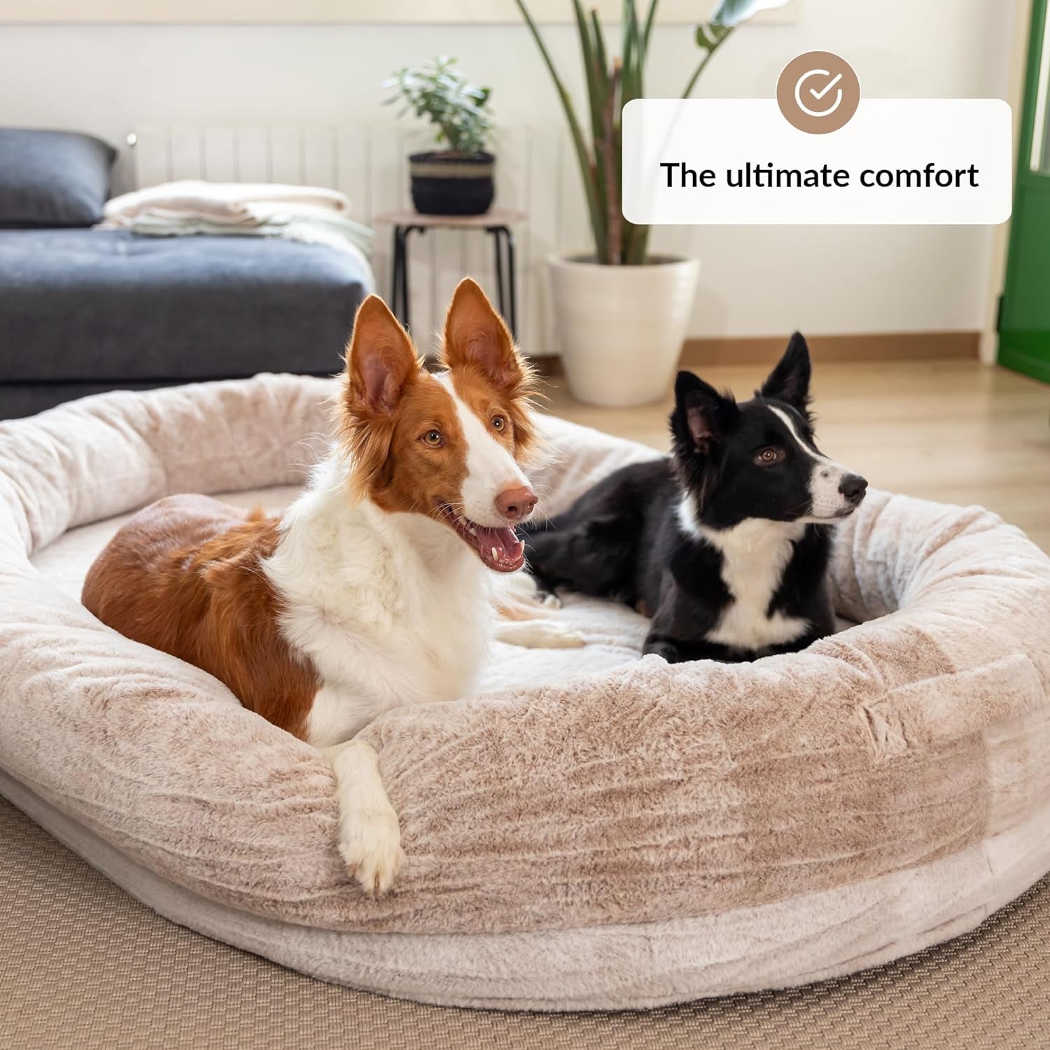 Human Dog Bed for Adults & Furry Friends | Warm & Comfortable Human Sized Dog Bed | Bean Bag Dog Bed | Giant Dog Bed for Humans & Pets | Human Size Dog Bed for Adults | Beige | Detachable Cover