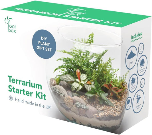 [CLEARANCE] ™ Large Plant Terrarium Kit in Scented Giftbox | for Succulents, Bonsai, Fittonia, Cactus | Unique DIY GIFT for Summer Anniversaries Birthdays Employees