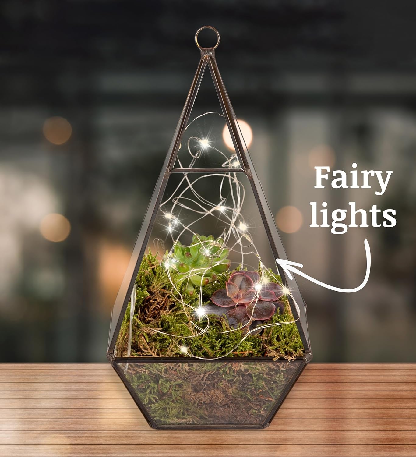 Organic Terrarium with Succulents - Fresh Plant -Plant Gifts – Indoor Terrarium – Birthday Gift – Thank You Gift Gifts for Dad – Plant Gift for Dad – Father’S Day Plant