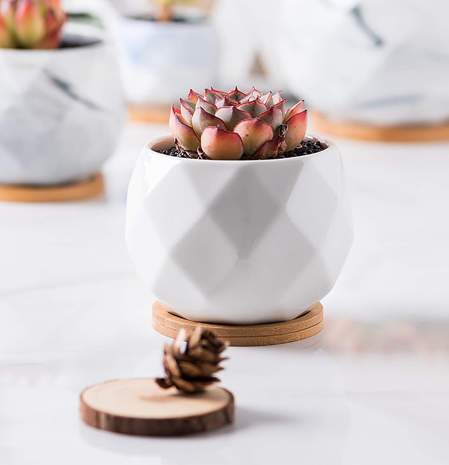 6 Pack Ceramic Succulent Planter Pot with Bamboo Tray, 10 Cm Small White Diamond Shaped Cactus Herb Flowers Planter with Drainage Hole