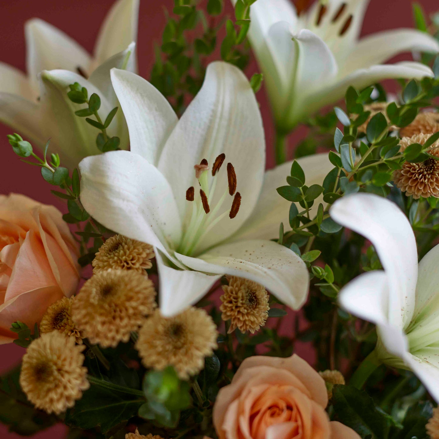 A Floral Firework