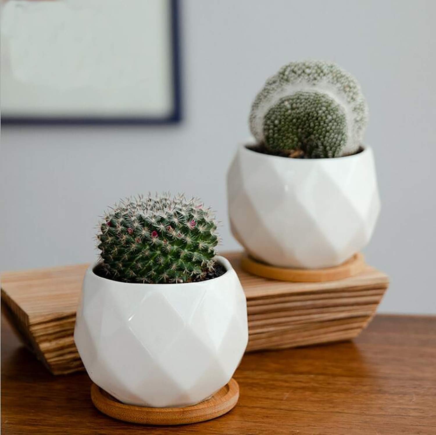 6 Pack Ceramic Succulent Planter Pot with Bamboo Tray, 10 Cm Small White Diamond Shaped Cactus Herb Flowers Planter with Drainage Hole