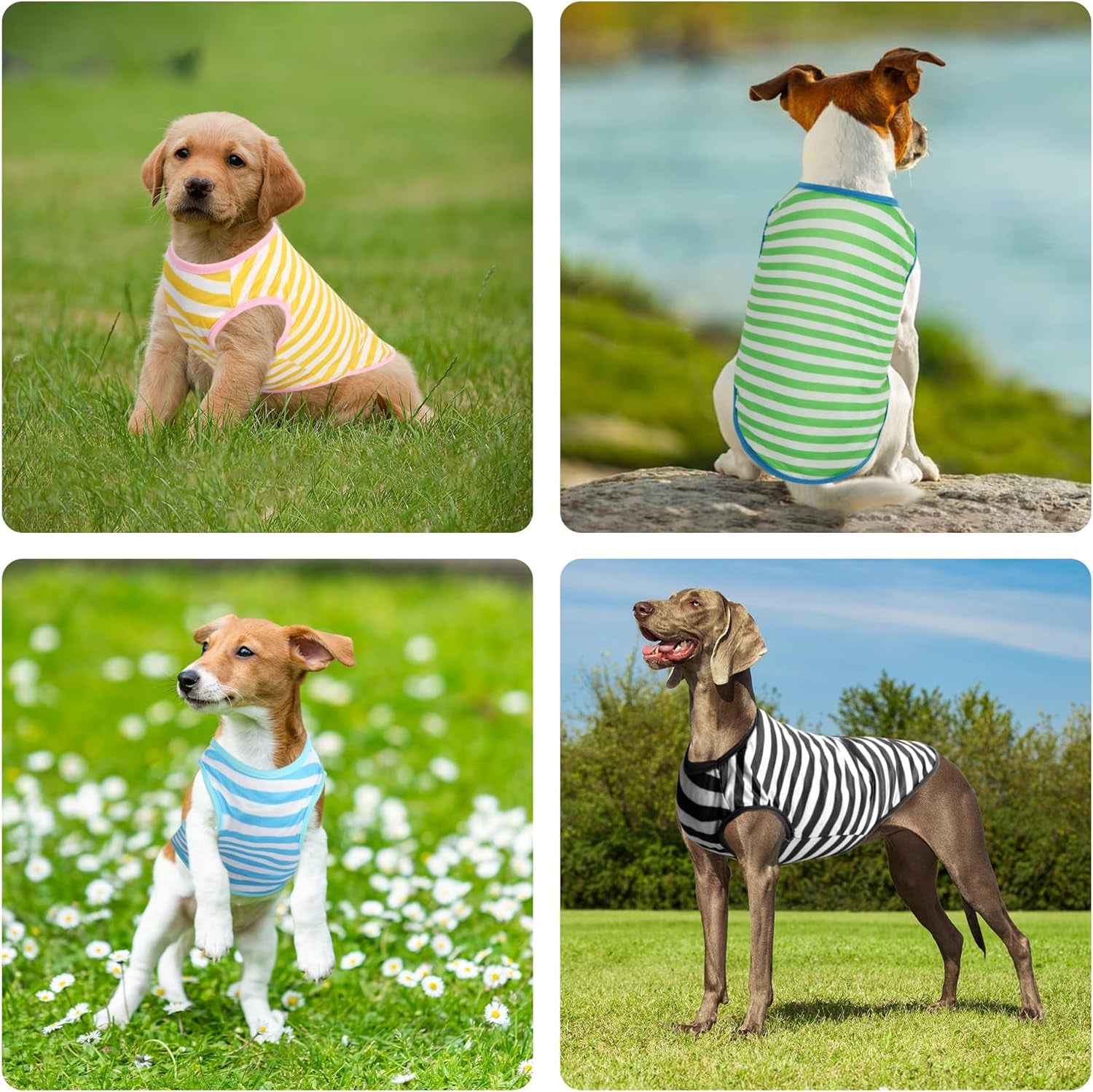 Puppy T Shirts 4-Pack, Pet Dog Striped T-Shirt, Cotton Dog T Shirt, Dog Clothes Pet Striped T-Shirt for Medium Large Dogs