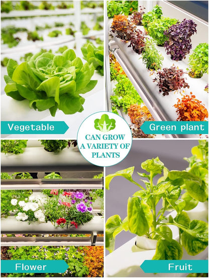 Hydroponic Grow Kit, Hydroponics Growing System 4 Layers 72 Plant Sites Food-Grade Pipes Hydroponic Planting Equipment with Water Pump, Pump Timer for Leafy Vegetables