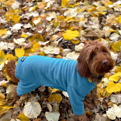 Warm Four Legged Dog Fleece – Available in Five Sizes & Three Colours (Teal, Medium (Four Legged))