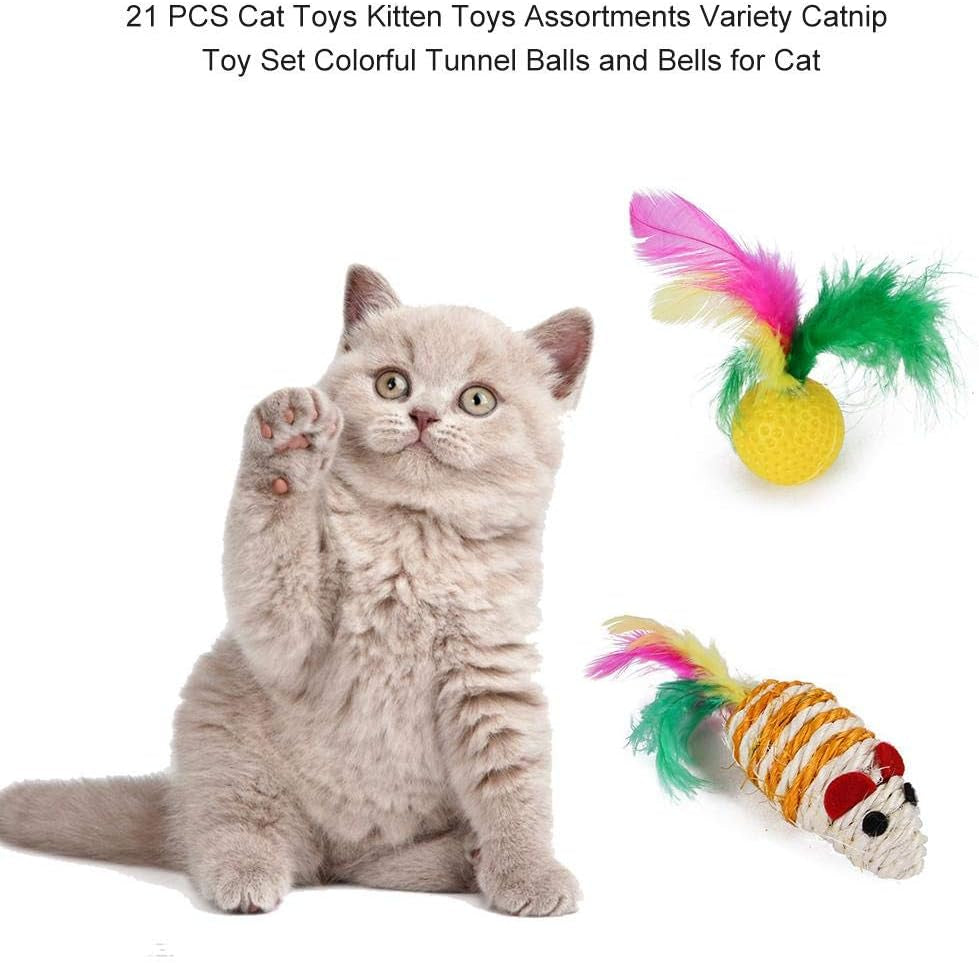 20Pcs Kitten Toys Cat Interactive Toys Set for Indoor Cats